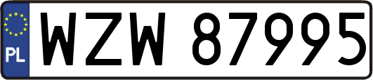 WZW87995