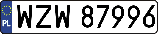 WZW87996