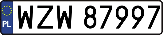 WZW87997