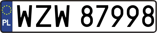 WZW87998