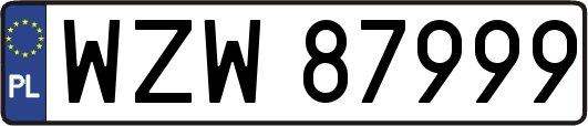 WZW87999