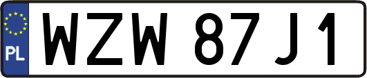 WZW87J1