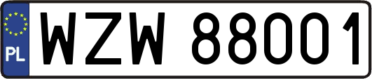 WZW88001
