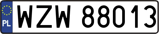 WZW88013