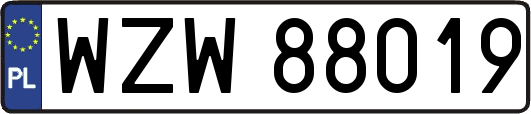 WZW88019