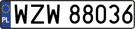 WZW88036