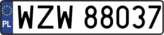 WZW88037