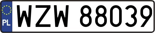 WZW88039