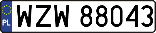 WZW88043