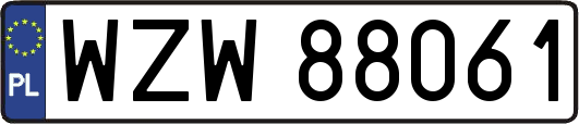 WZW88061