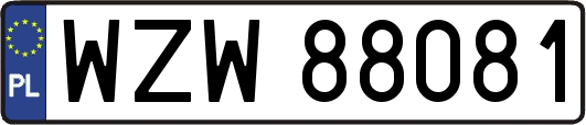 WZW88081