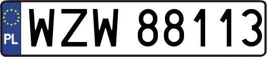 WZW88113