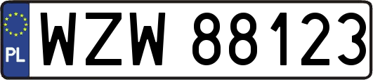 WZW88123