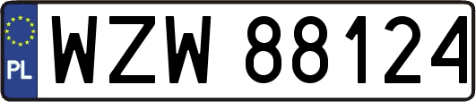 WZW88124