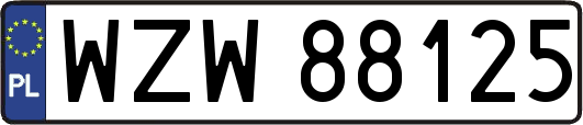 WZW88125