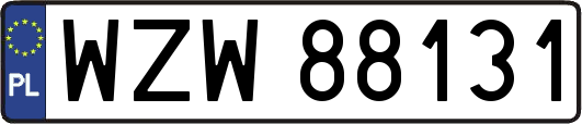 WZW88131