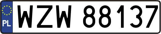 WZW88137