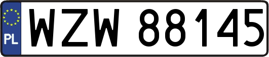 WZW88145