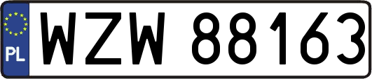 WZW88163