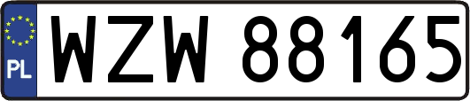 WZW88165