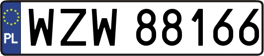 WZW88166
