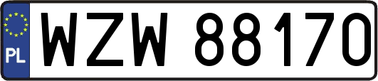 WZW88170