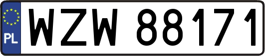 WZW88171