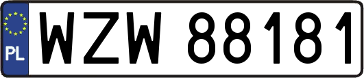 WZW88181