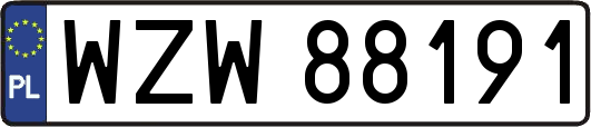 WZW88191
