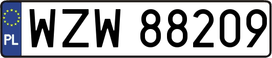 WZW88209