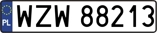WZW88213