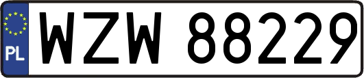 WZW88229