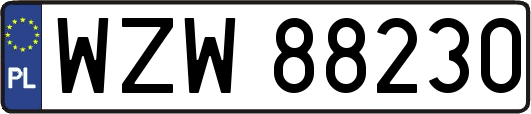 WZW88230