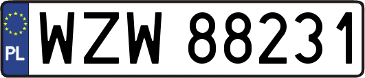 WZW88231