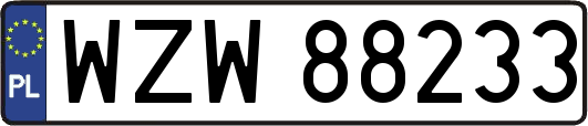 WZW88233