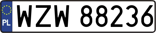 WZW88236