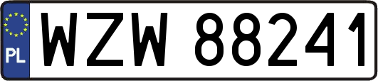 WZW88241