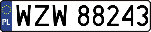 WZW88243