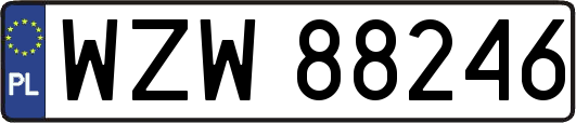 WZW88246