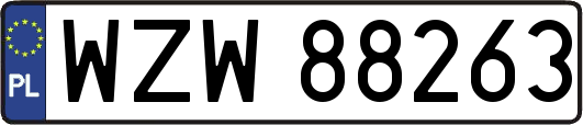 WZW88263