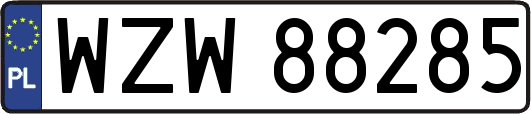 WZW88285