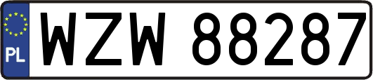 WZW88287