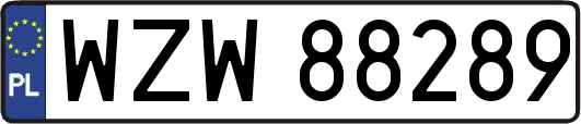 WZW88289