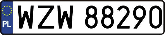 WZW88290