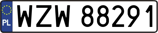 WZW88291