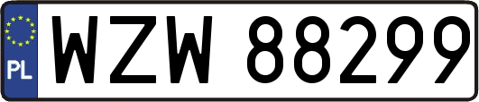 WZW88299