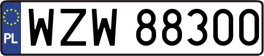 WZW88300