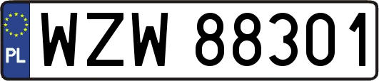 WZW88301
