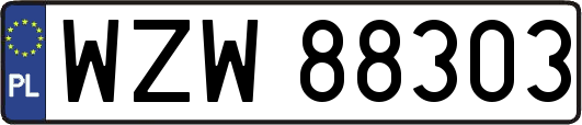 WZW88303