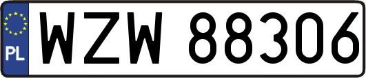 WZW88306